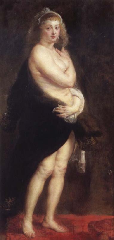 Peter Paul Rubens The little fur Spain oil painting art